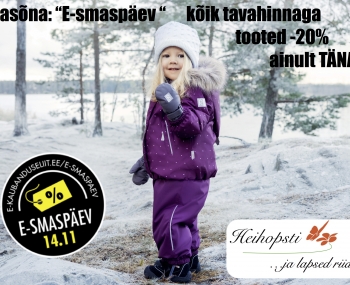 E-smaspäev 14.11